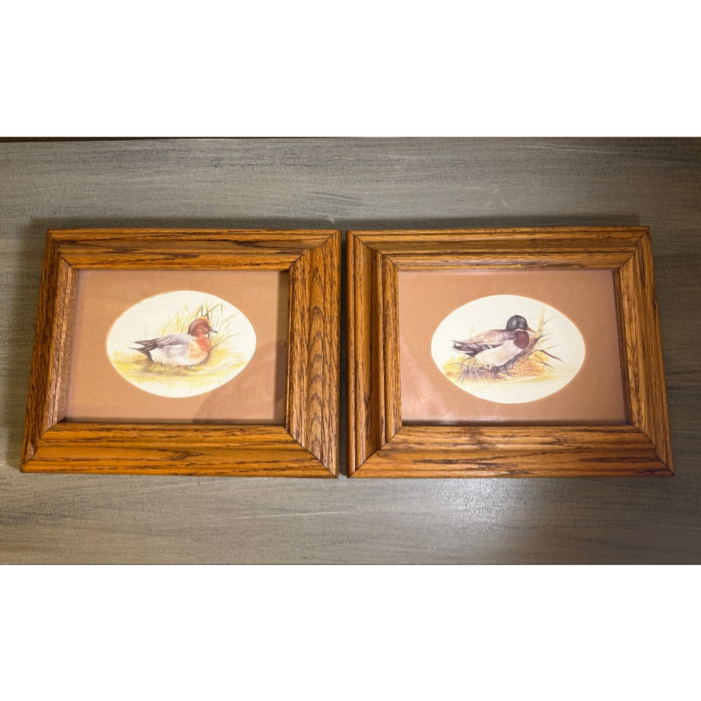 Pair of vintage framed duck prints by artist Joel Kirk #Grandma Core #Retro